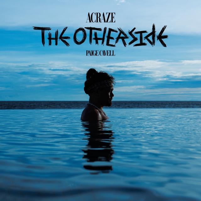 Album cover art for The Otherside