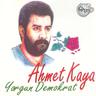 Yorgun Demokrat