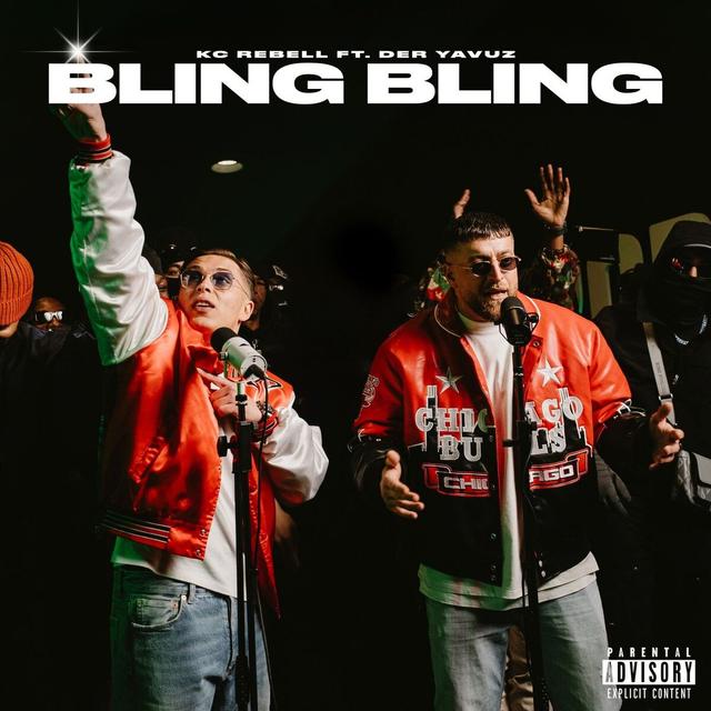 Album cover art for Bling Bling