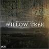 Willow Tree