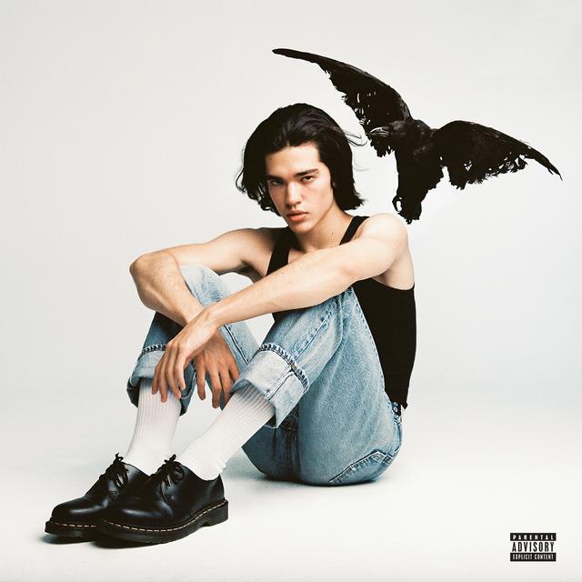 Album cover art for Kid Krow