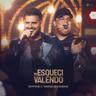 Te Esqueci Valendo
