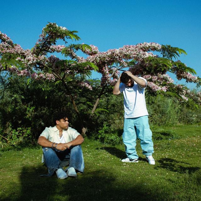 Album cover art for WALA MEEN