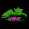 Lambis