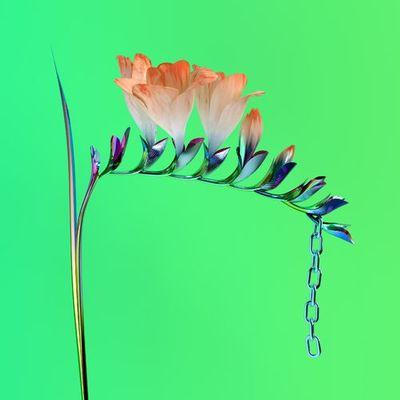 Lyric cover art