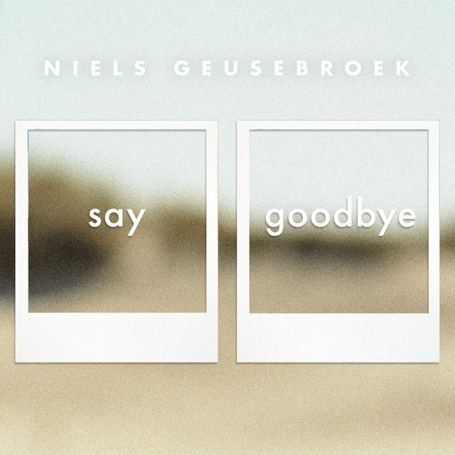 Album cover art for Say Goodbye