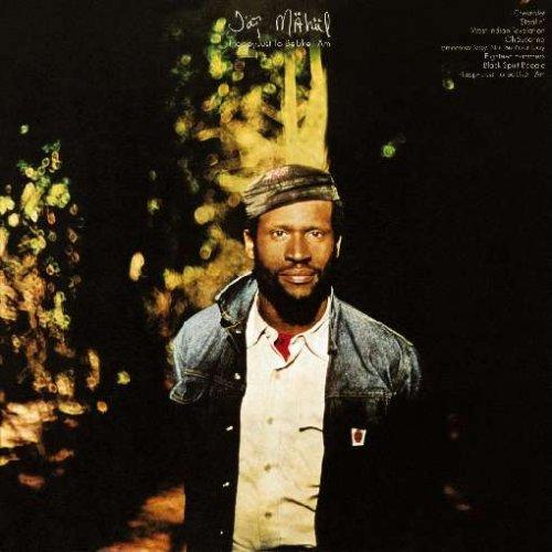 Album cover art for Happy Just to Be Like I Am