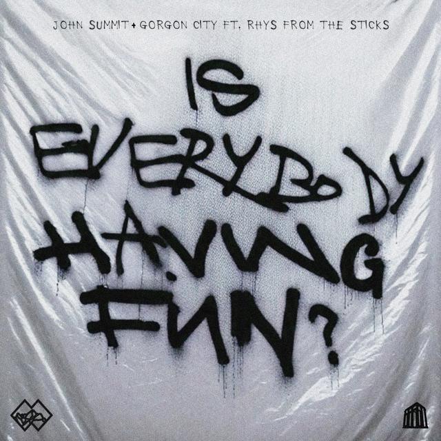 Album cover art for Is Everybody Having Fun?
