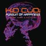 Pursuit Of Happiness