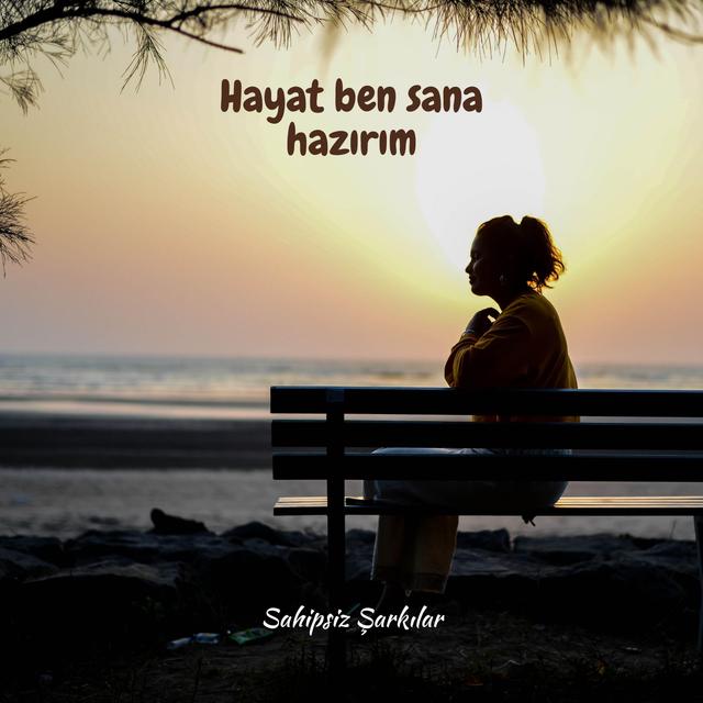Album cover art for Hayat ben sana hazırım