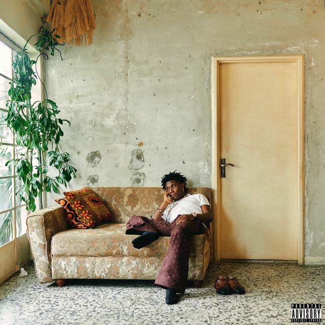 Album cover art for Sanity