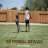 Só Pitbull De Raça (So Pitbull De Raca)