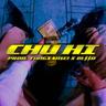 Chu Hi