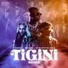 Tigini