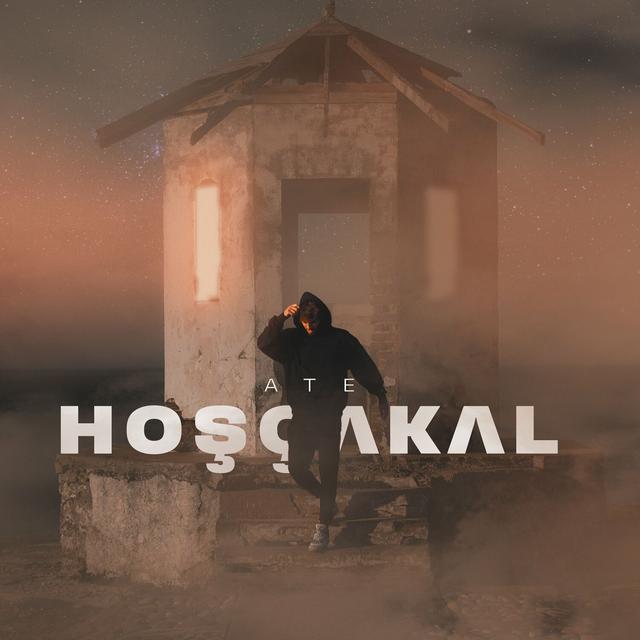 Album cover art for Hoşçakal