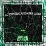 AUTOMOTIVO ASSOMBRA LUARA (Slowed + Reverb)