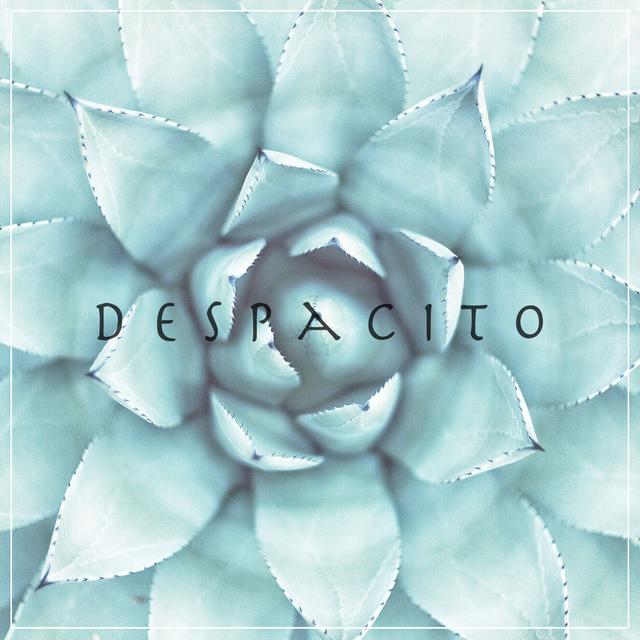 Album cover art for Despacito