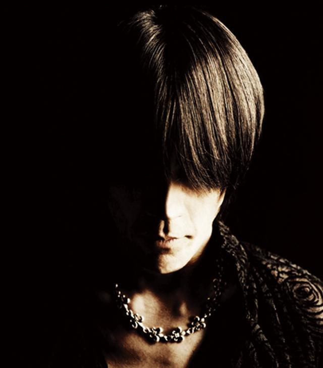 Album cover art for Wild Romance