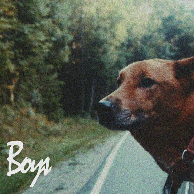 Album cover art for Boys