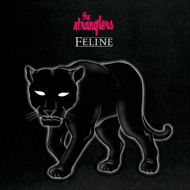 Album cover art for Feline