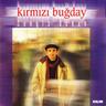 Ne Feryad Edersin Divane Bülbül (Ne Feryad Edersin Divane Bulbul)