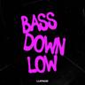 Bass Down Low