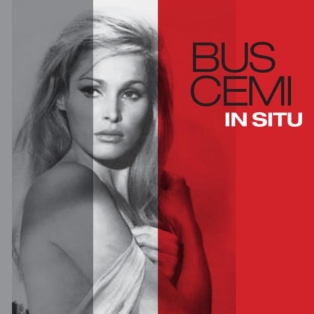 Album cover art for In Situ