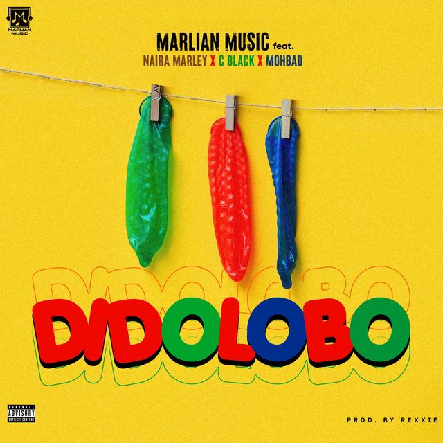 Album cover art for Dido Lobo