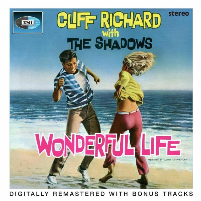 Album cover art for Wonderful Life