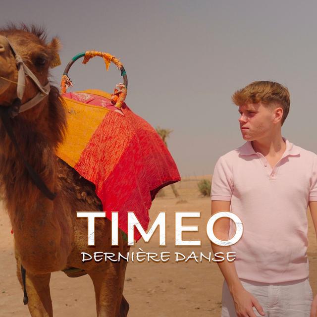 Album cover art for Dernière danse