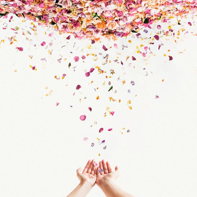 Album cover art for 遥