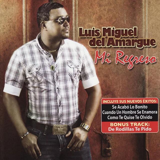 Album cover art for Mi Regreso