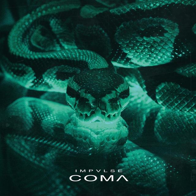 Album cover art for COMA
