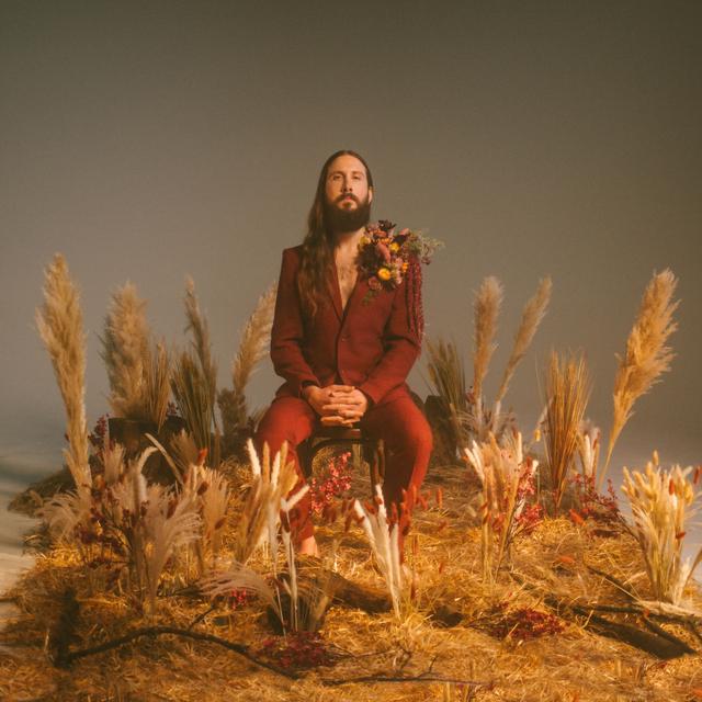 Album cover art for Peace Somehow