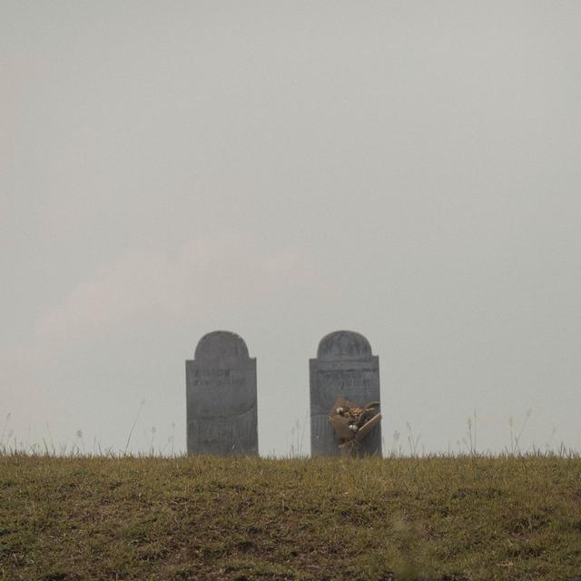 Album cover art for Sorai