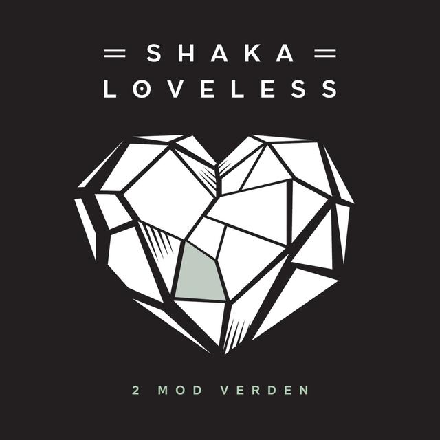 Album cover art for 2 Mod Verden