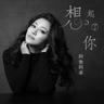 想起了你 (Xiang Qi Liao Ni)