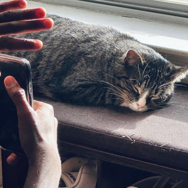 Album cover art for unknown feelings