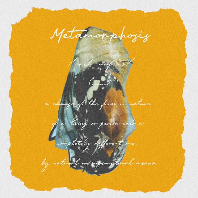 Album cover art for Metamorphosis
