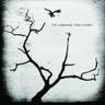 Sometime Around Midnight