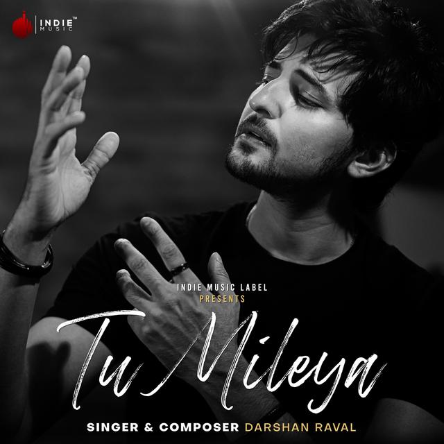 Album cover art for Tu Mileya