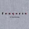 Un Boomerang