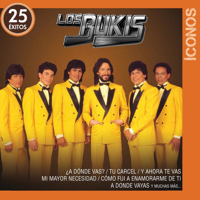 Album cover art for Íconos 25 Éxitos