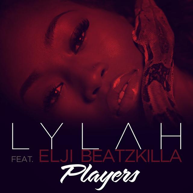 Album cover art for Players