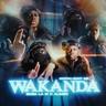 Matancrazy#3(Wakanda)