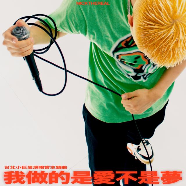 Album cover art for 我做的是愛不是夢