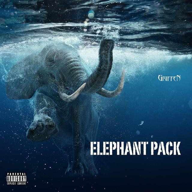 Album cover art for Elephant Pack