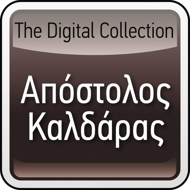 Album cover art for The Digital Collection