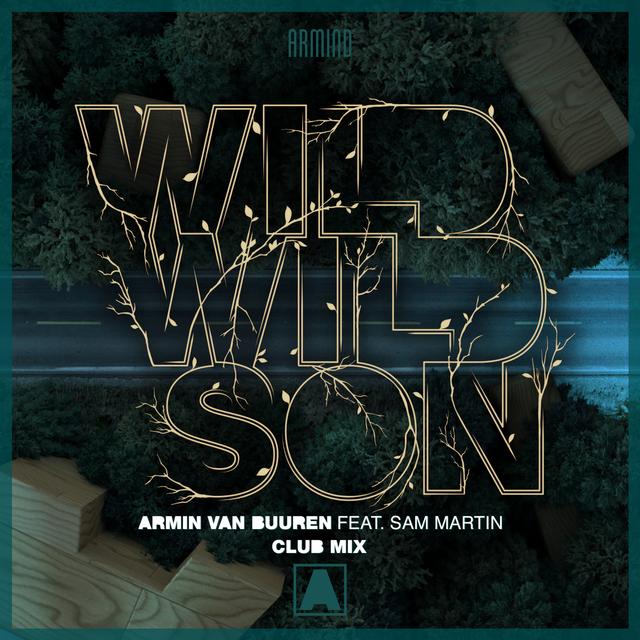 Album cover art for Wild Wild Son