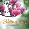 Längtan till landet (Yearning for the Countryside) (Langtan till landet (Yearning for the Countryside))